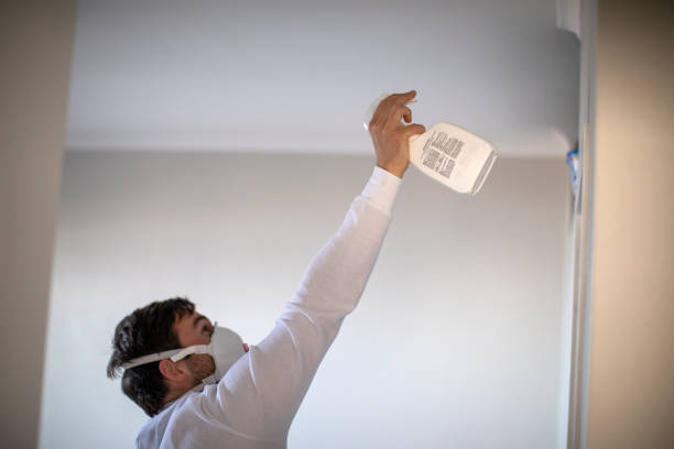 Best Basement Mold Remediation in Walkersville, MD