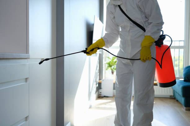 Best Post-Remediation Services in Walkersville, MD