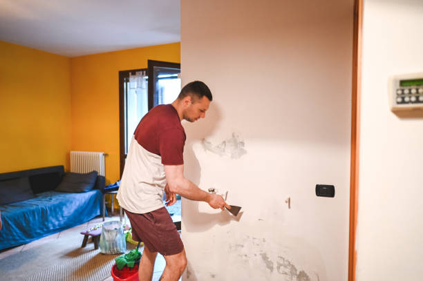 Best Preventive Mold Services in Walkersville, MD