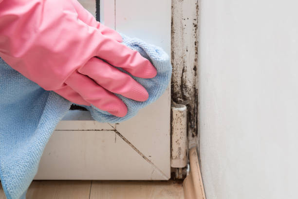 Walkersville, MD Mold Remediation Company